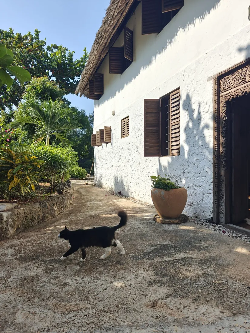 A white building with timber shutters at Cheche Vule.