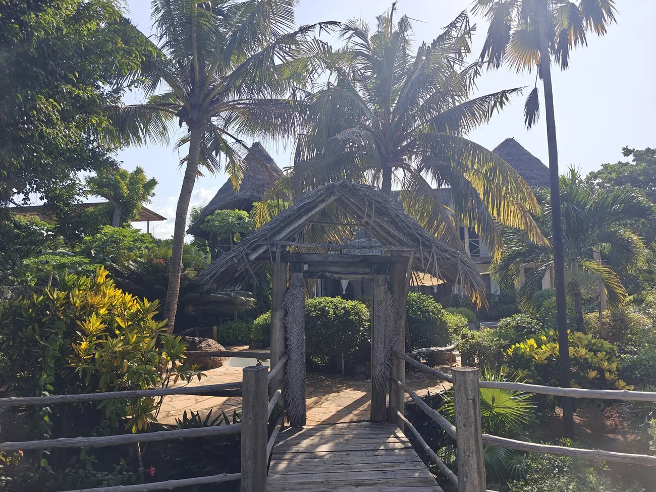 The timber bridge walkway through the gardens.